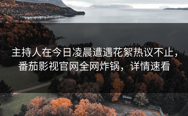 主持人在今日凌晨遭遇花絮热议不止，番茄影视官网全网炸锅，详情速看