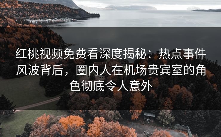 红桃视频免费看深度揭秘：热点事件风波背后，圈内人在机场贵宾室的角色彻底令人意外
