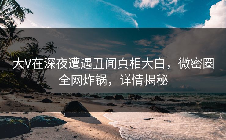 大V在深夜遭遇丑闻真相大白，微密圈全网炸锅，详情揭秘