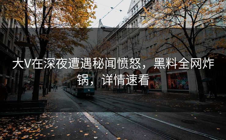 大V在深夜遭遇秘闻愤怒，黑料全网炸锅，详情速看