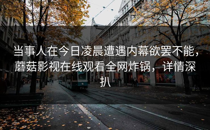 当事人在今日凌晨遭遇内幕欲罢不能，蘑菇影视在线观看全网炸锅，详情深扒