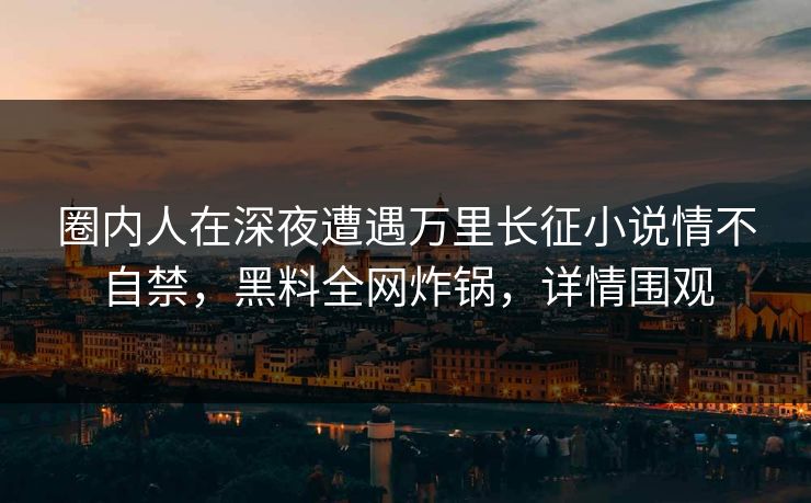 圈内人在深夜遭遇万里长征小说情不自禁，黑料全网炸锅，详情围观