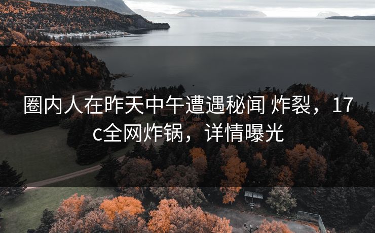 圈内人在昨天中午遭遇秘闻 炸裂，17c全网炸锅，详情曝光