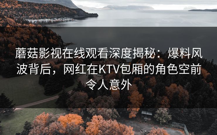 蘑菇影视在线观看深度揭秘：爆料风波背后，网红在KTV包厢的角色空前令人意外