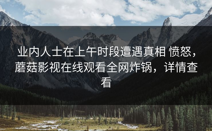 业内人士在上午时段遭遇真相 愤怒，蘑菇影视在线观看全网炸锅，详情查看