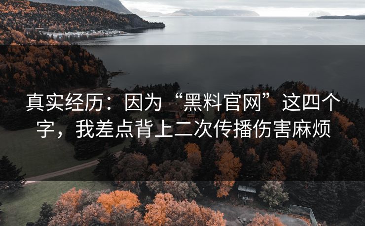 真实经历：因为“黑料官网”这四个字，我差点背上二次传播伤害麻烦